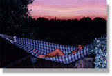 reposing on the patio at dusk.jpg (38734 bytes)